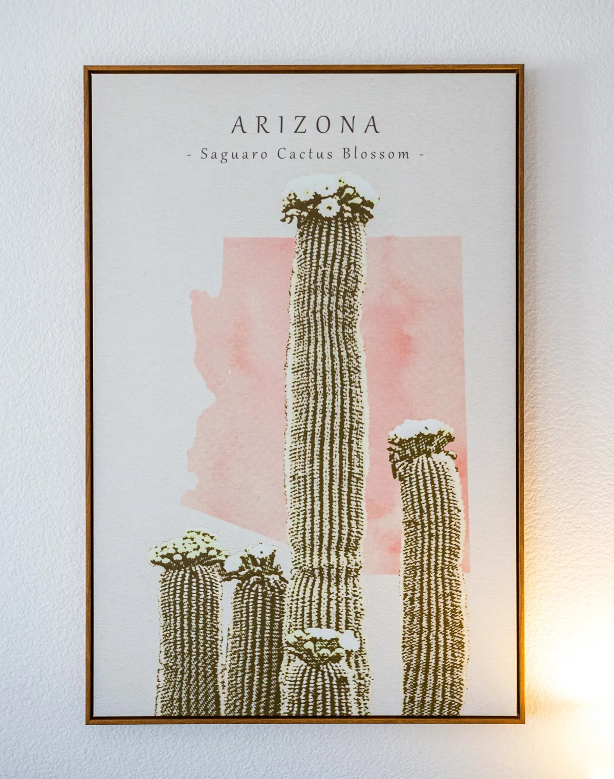 This image features artwork depicting a Saguaro cactus with the word 'ARIZONA,' framed and displayed as decor. The art draws a direct connection to the local environment and culture, representing Arizona's iconic scenery and offering a nod to the destination that families are exploring.
