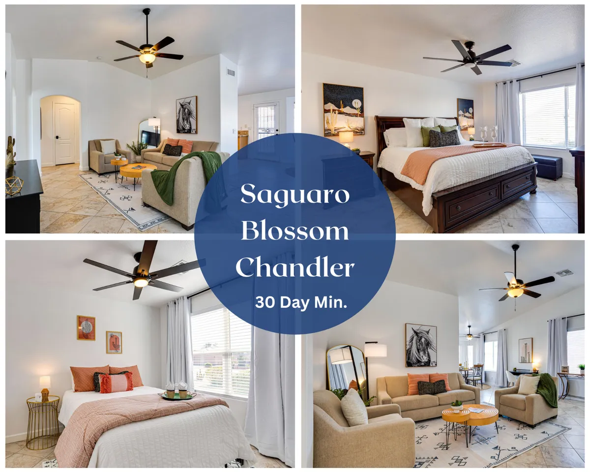 The hero image showcases a cozy, sunlit living area with a comfortable seating arrangement, a bed adorned with decorative pillows, tasteful artwork on the walls, and ceiling fans overhead. Large windows invite natural light and provide a view for enjoying Arizona sunsets, while the open space is perfect for relaxing or entertaining guests.